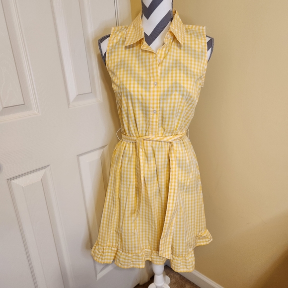 Dresses & Skirts - NWT Gingham Shirt Dress S